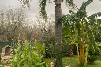 Villa in vendita, S.P. Supersano/Scorrano - Contrada Montinati, Supersano