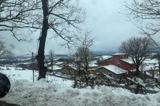 Stabile o palazzo in vendita, via Lago delle More, Serramazzoni