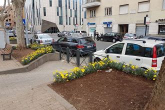 Negozio in affitto, via Ignazio Giorgi, Bologna, Roma