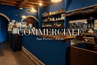Attività / Licenza in vendita, via San Pietro in Verzolo  19, San Pietro, Pavia