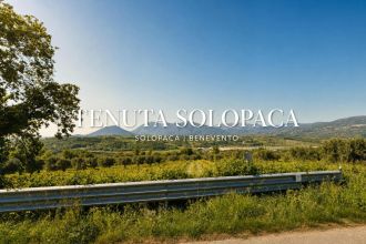 Terreno industriale o artigianale in vendita, Contrada Sala, Solopaca