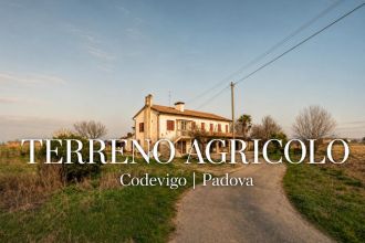 Terreno agricolo in vendita, via Bosco  29, Codevigo