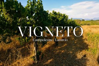 Terreno agricolo in vendita, via Formale Rotondo, Campoleone, Lanuvio