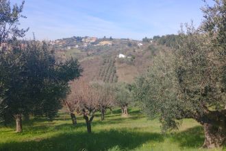 Terreno residenziale in vendita, Strada Vicinale Valle Ferzetti, Ospedale, Pescara