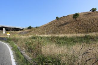 Terreno agricolo in vendita, via Matteo Messina, Villa San Giovanni