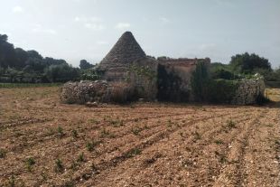 Rustico in vendita, cda Bellasora snc, Triggianello, Conversano