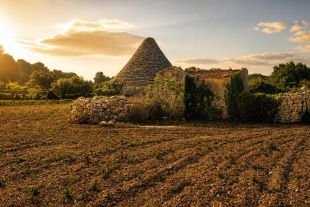 Rustico in vendita, cda Bellasora snc, Triggianello, Conversano