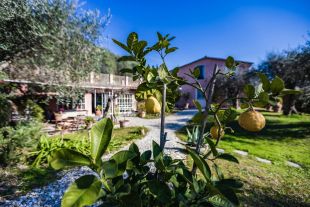 Villa in vendita, via della Colombaia  17, Massarosa