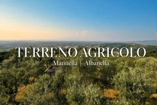 Terreno agricolo in vendita, via Difesa Monti, Matinella, Albanella