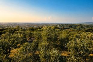 Terreno agricolo in vendita, via Difesa Monti, Matinella, Albanella