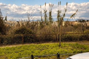 Appartamento in vendita, via Filippo Marchetti, Trieste, Roma