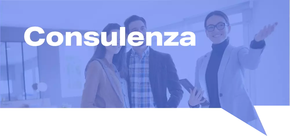 Consulenza